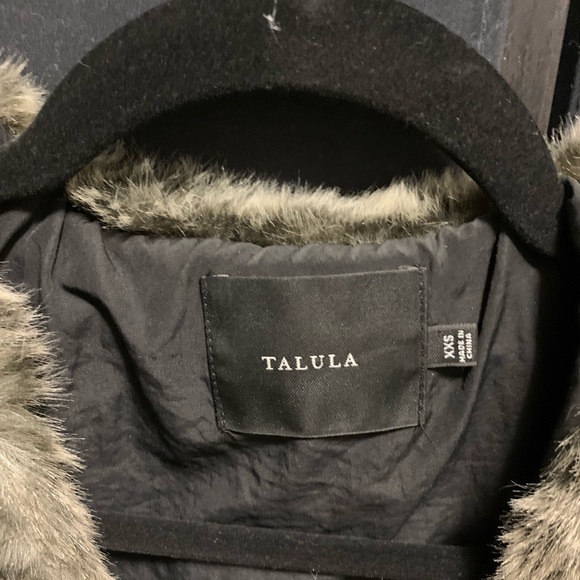 Aritzia Faux Fur Park Slope Vest - Picture 4 of 5